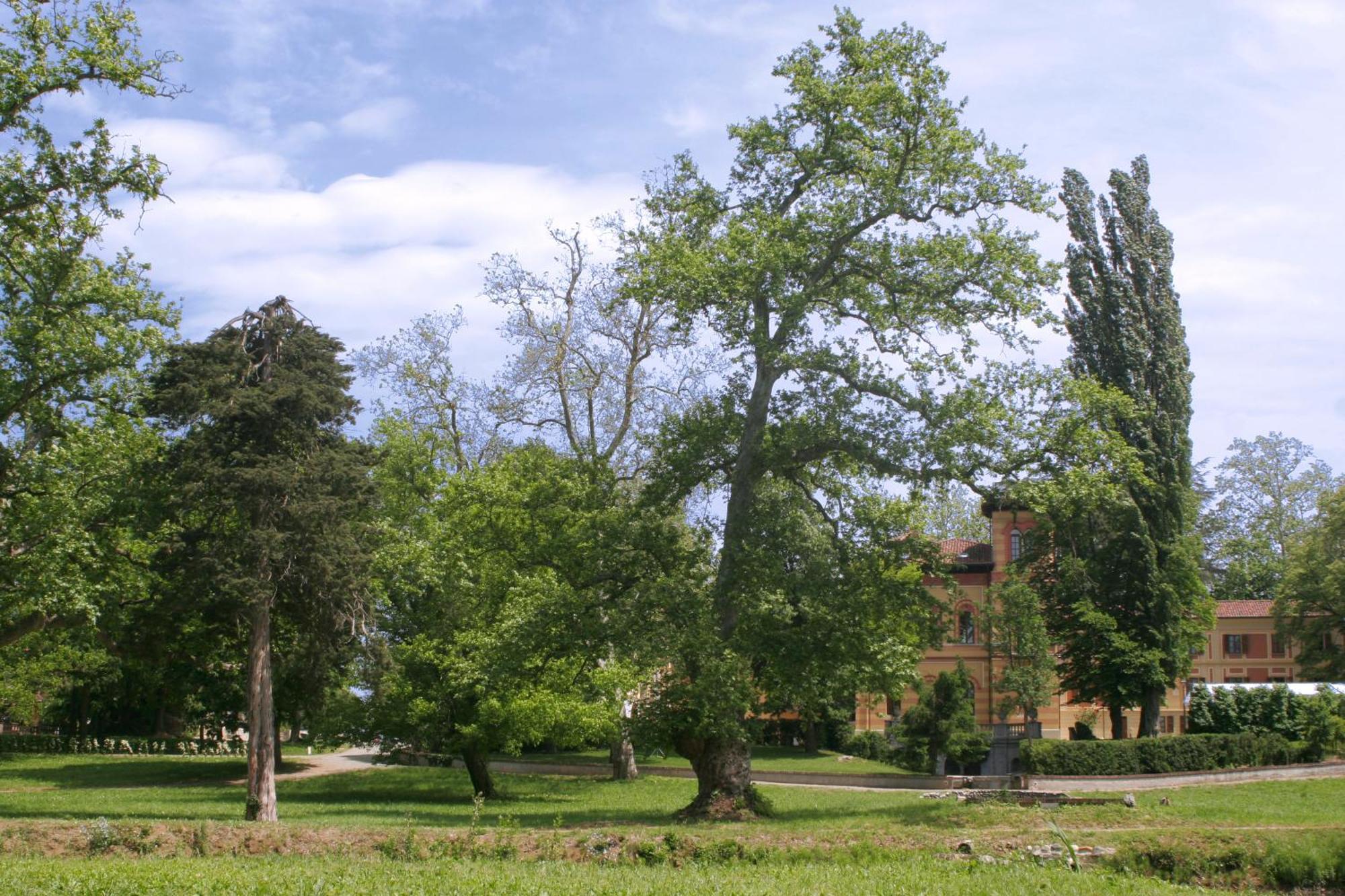 Villa Scati Bed And Breakfast Melazzo 外观 照片